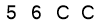 salt-EB498A78