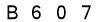 salt-6088FDD5