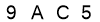 salt-794F2523