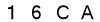 salt-6162B864