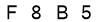 salt-6C4ED9B5