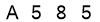 salt-571EFF5D