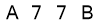 salt-311A2445