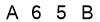 salt-07B0AD18