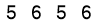 salt-4C917EE4