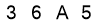 salt-C88A4544