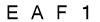 salt-36653DFE