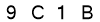 salt-172C11D8