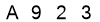 salt-318C4131