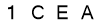 salt-565B4E24