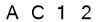 salt-8E7A2892