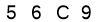 salt-46318E2A